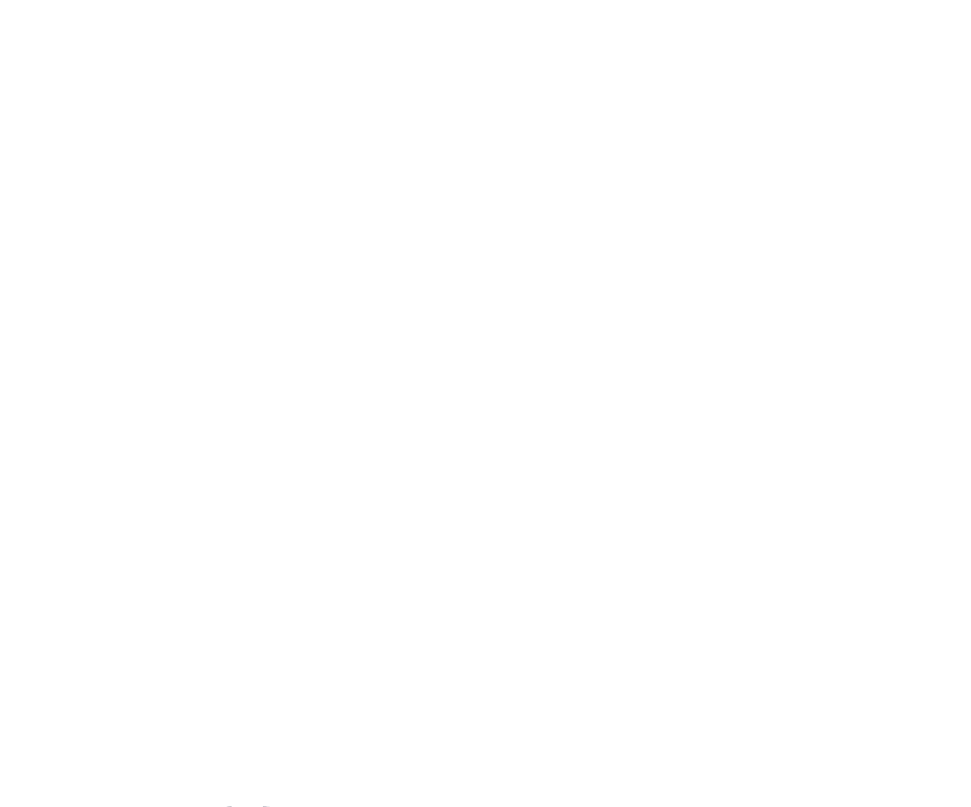 Polar-1